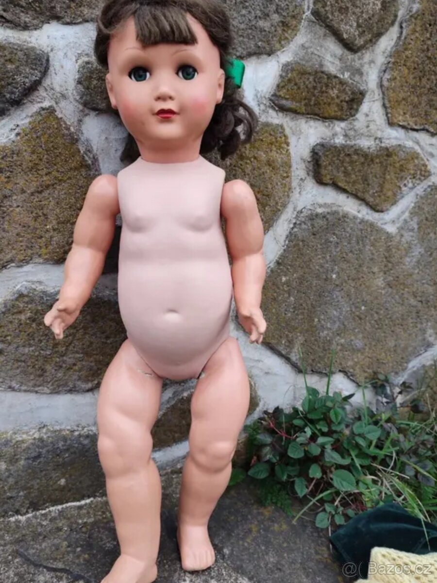 Panenka želva velká - 10