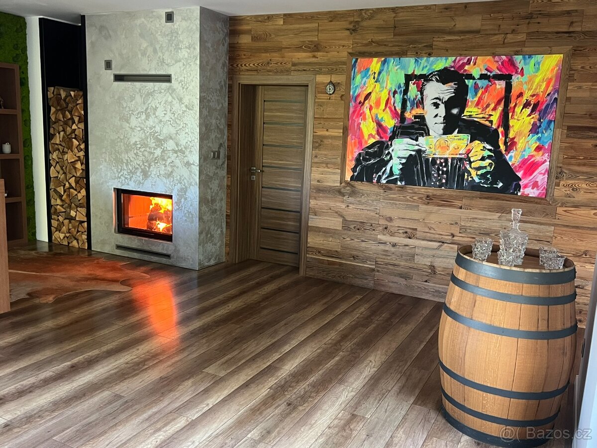 Prodej rodinného domu 261 m², Frýdlant nad Ostravicí - 10