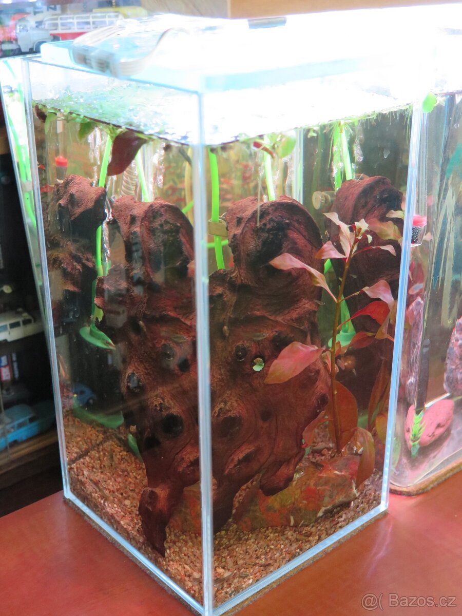 Elementka - akvárium - betárium - nanoakvárium - krevetárko - 10