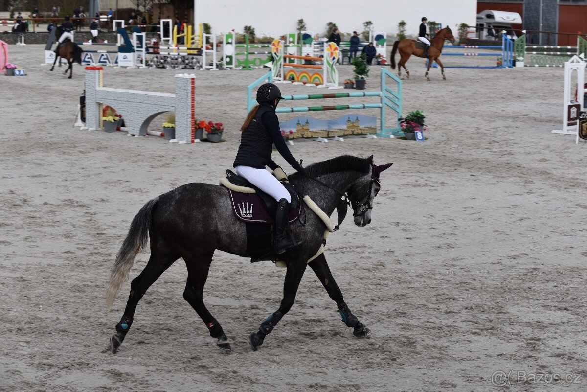 Prodej závodní stáje z důvodu ZDRAVÍ - 10