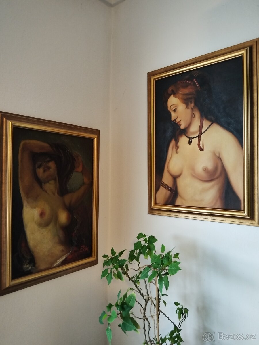 obraz KRÁSNÁ DÁMA, akt, olej, nesignováno - 10