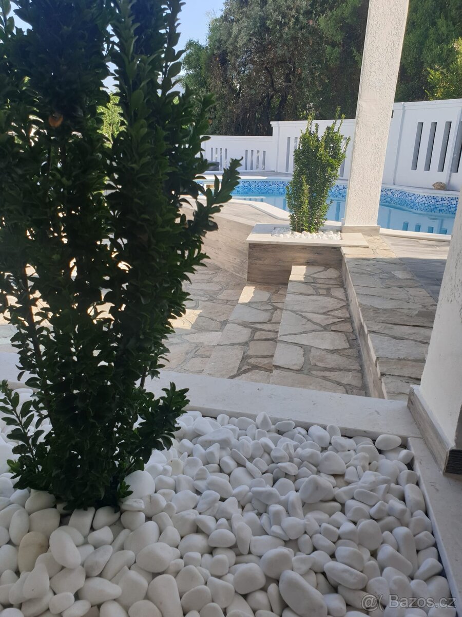 Vila Černá Hora - 10