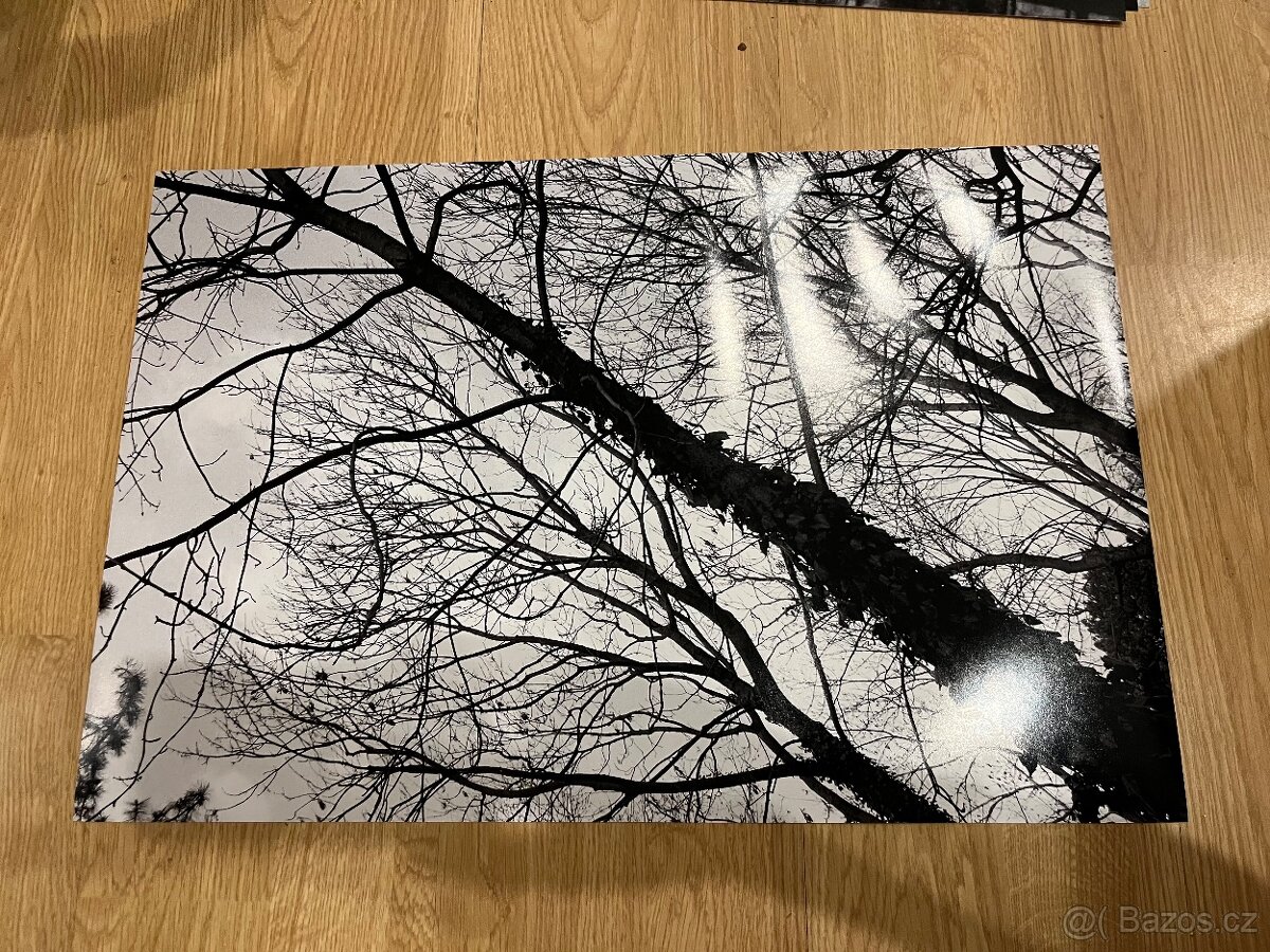 Fotografie černobílé - 10