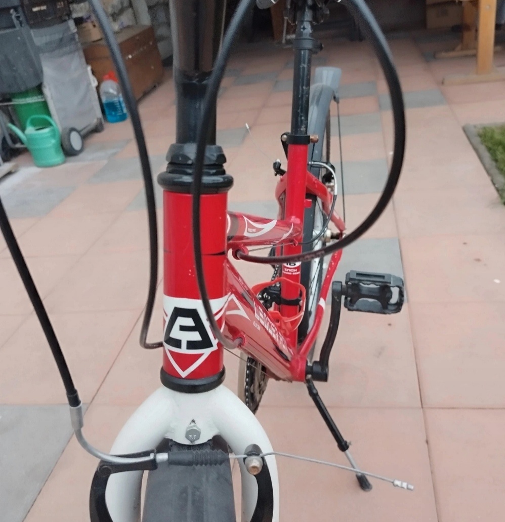 Dívčí kolo Leader Fox - 10