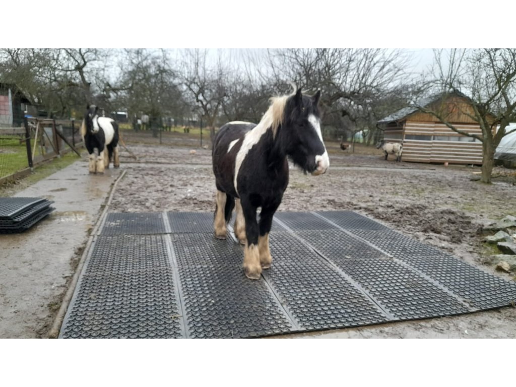 Podlahové desky Paddock zátěžové děrované z PVC 117x 84cm - - 10