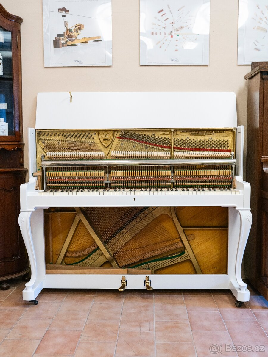 Petrof 117 Chippendale - 10