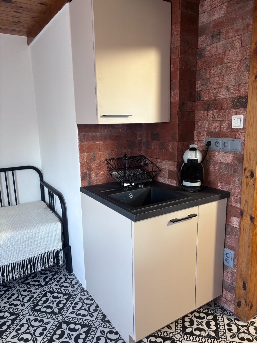 Prodej zděné rekreační chaty, Planá - Strkov - 10