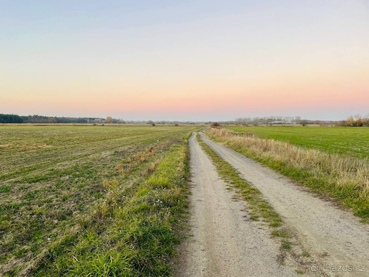 Veľký Pozemok 45 172 m² pri Malých Levároch - 10