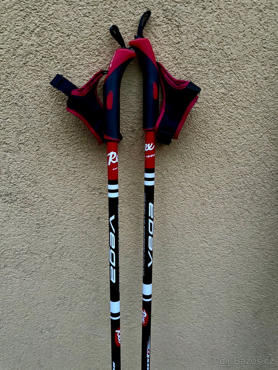 Běžkařský set lyže Sporten, hole Rex, boty Salomon vel. 40 - 10