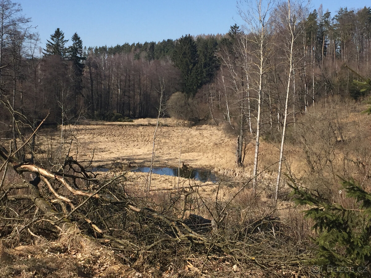 Luxusní bydlení s vlastním 5 m vodopádem - 10