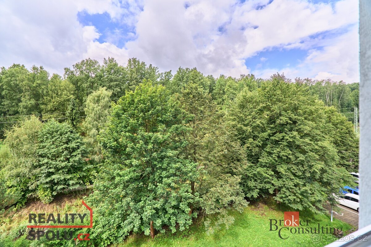 Pronájem, byty/3+1, 62 m2, Družstevní 30, 35801 Kraslice, So - 10