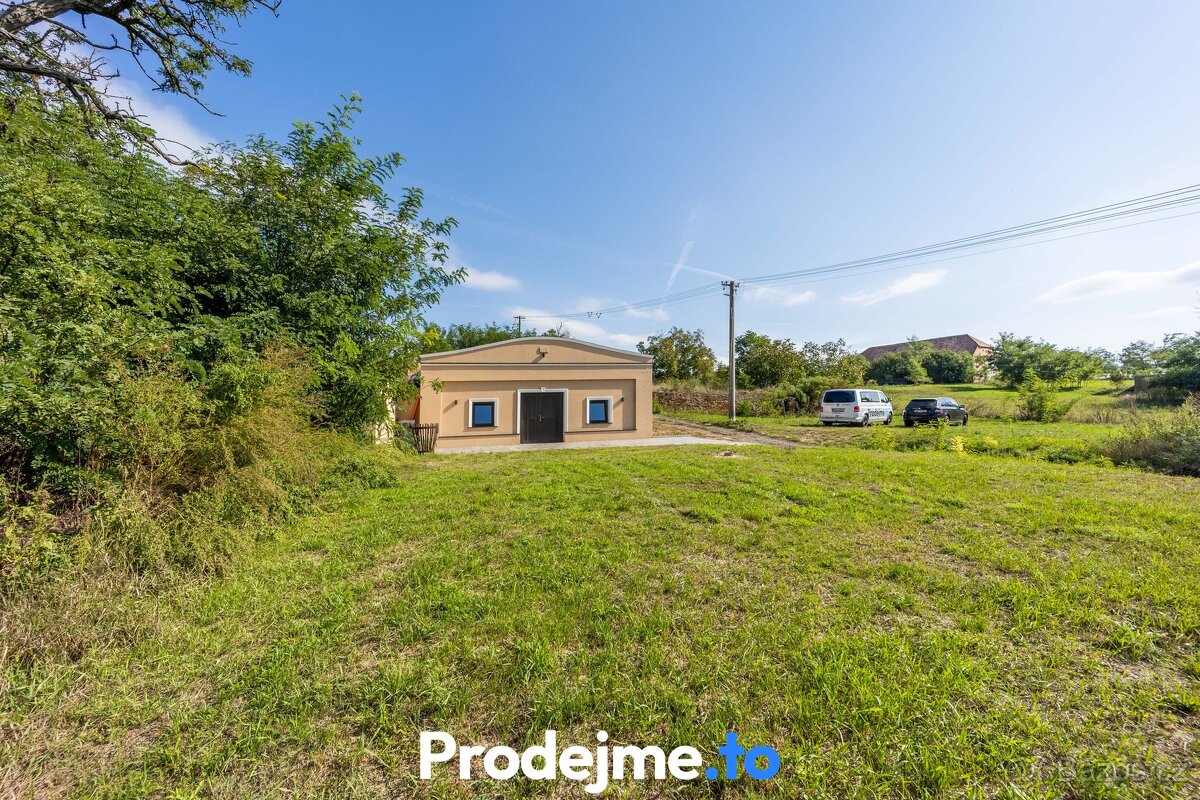 Prodej vinného sklepu, 182 m² - Dyjákovice, ev.č. 01221 - 10