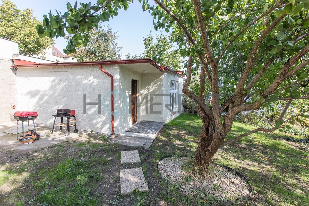 Pronájem bytu 1+kk (38m²) - , Bakalářská, Malešice - 10