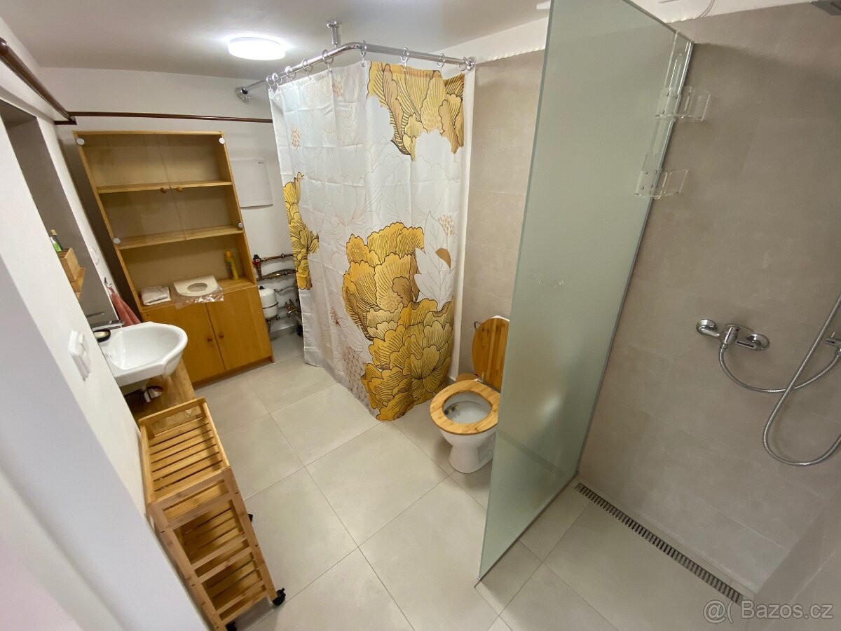 Pronájem RD - 10