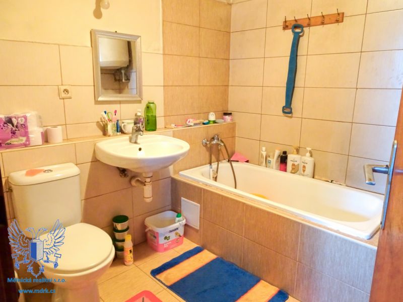 Prodej víceúčelového domu ve Střemech - 10