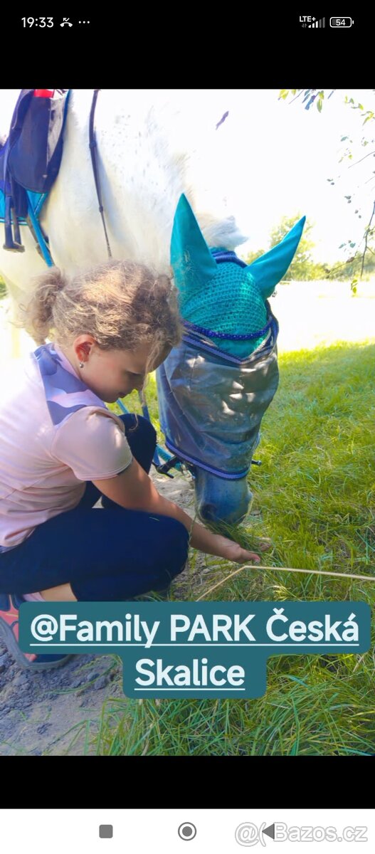 Prodám ponyho do sportu či k aktivnímu hobby - 10