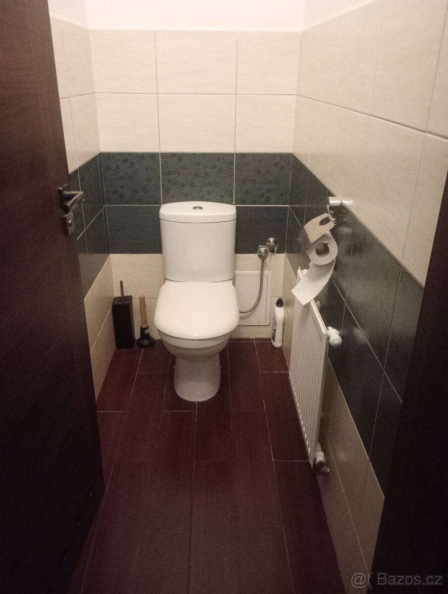 Pronajmu přízemí RD, být 3kk se zahradou a terasou - 10