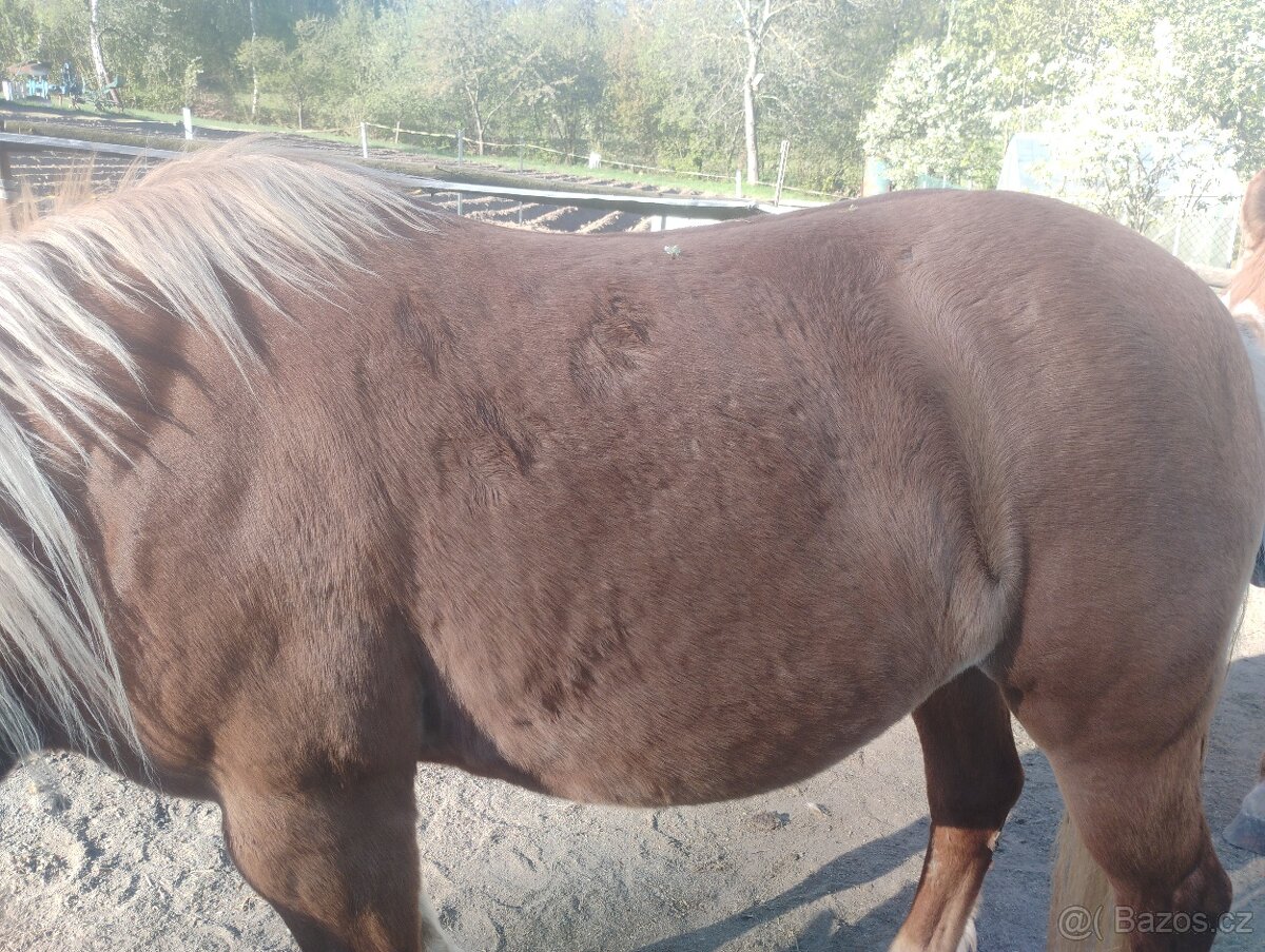 Western na soudek - 10