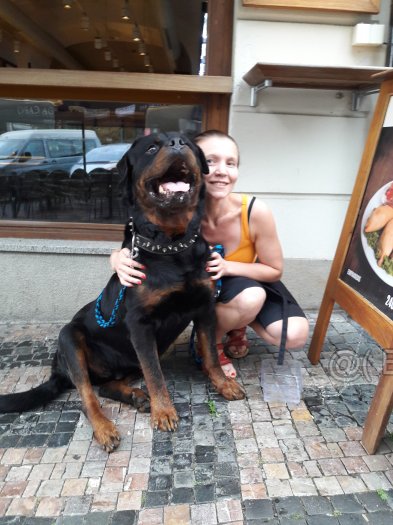 Rottweiler, rotvajler, RTW s PP - 10