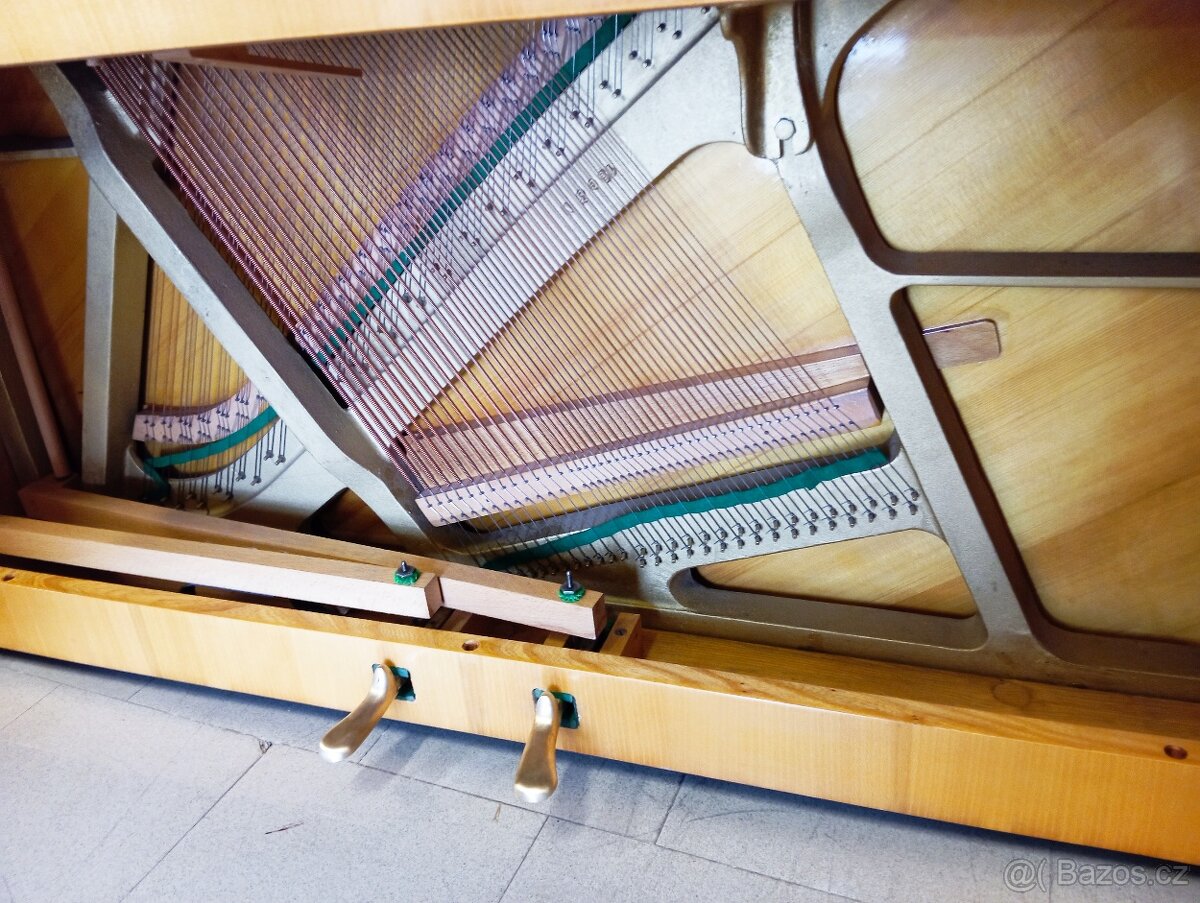 August Forster mod.116-Dovoz po ČR zdarma 24/7 - 10