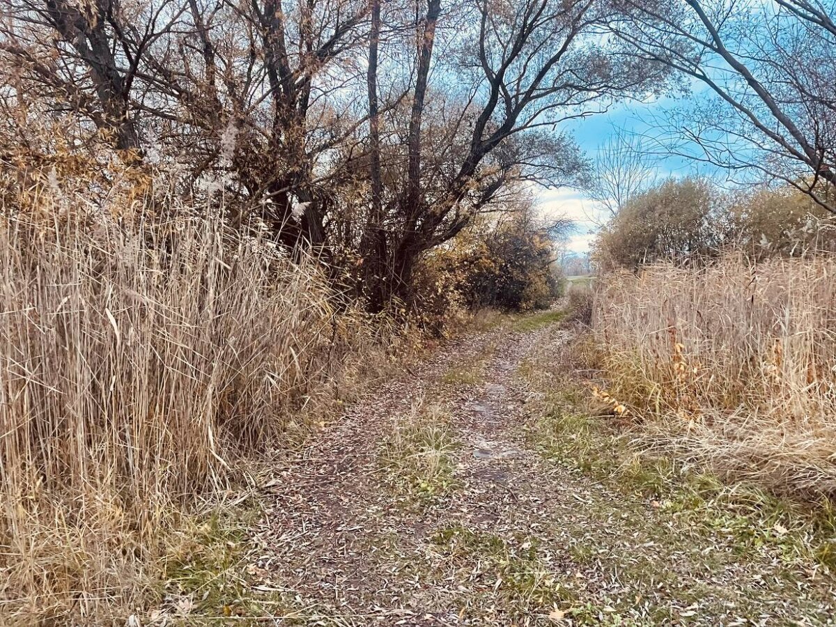 Lúka Malé Leváre, 26 385 m² pri Morave - 10