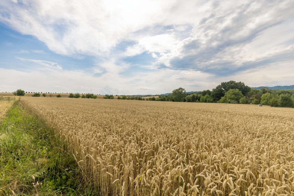 Prodej stavební pozemek, Vražné - 10