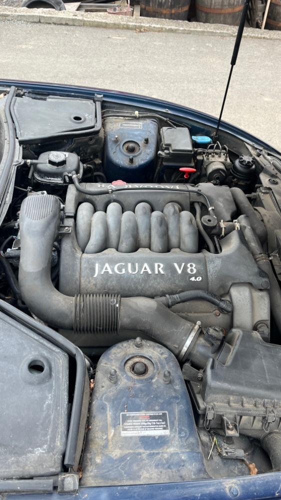 290.Jaguar XK8 AJ8FT - 10