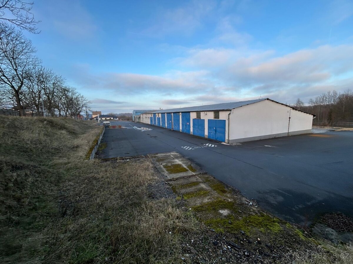 Pronájem/prodej obchodního prostoru v Chebu - 10