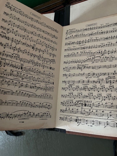 LP desky a noty - 10