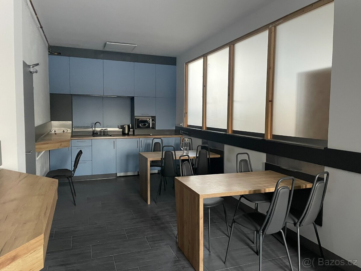 Pronájem komerční nemovitosti - 10