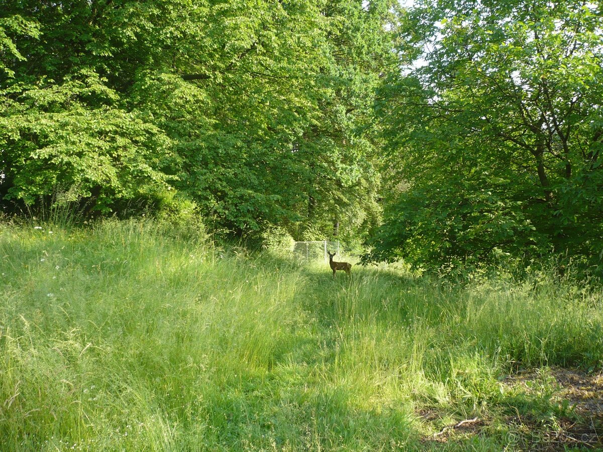 Chata 34m² se zahradou 5030m², Česká Třebová - 10