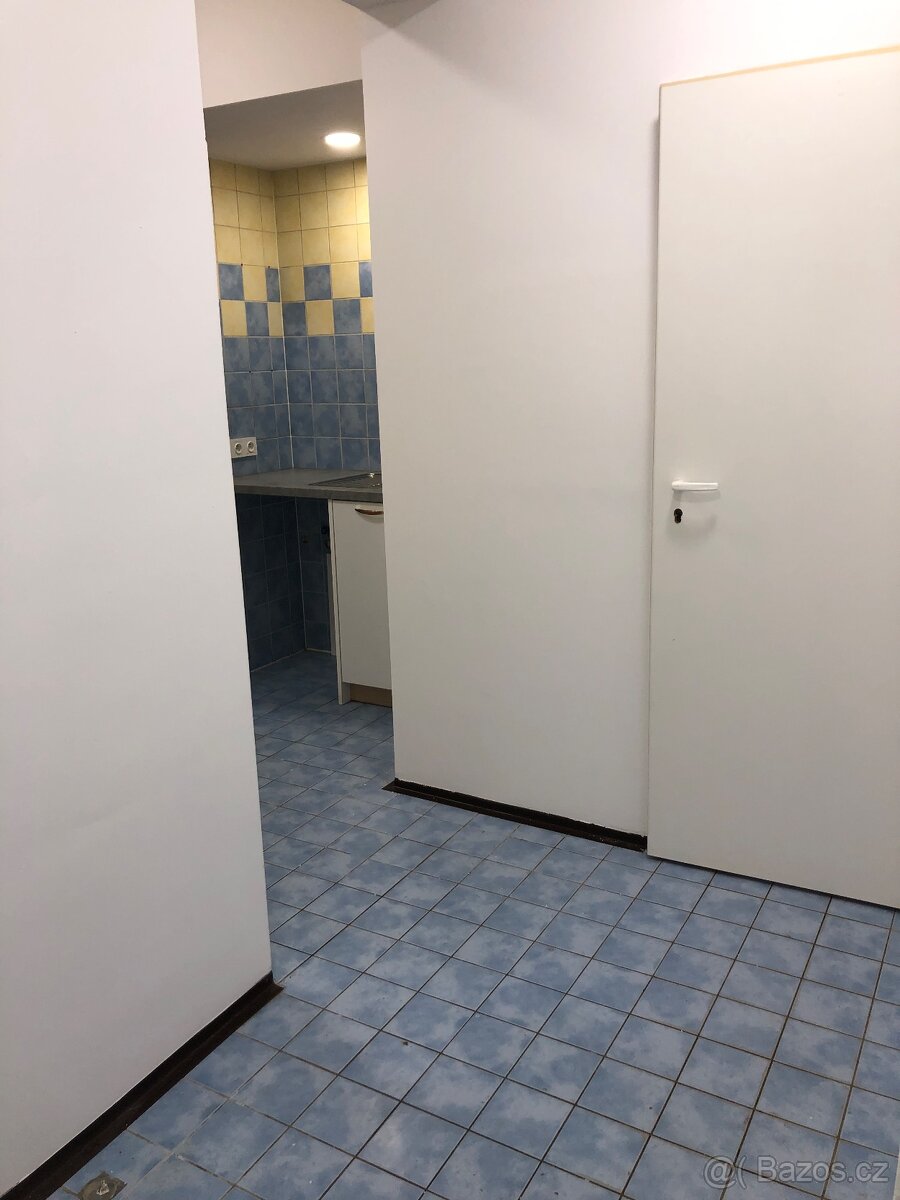 Pronajem bytu 2+1 se šatnou, 65 m2, Doubravice nad Svitavou - 10