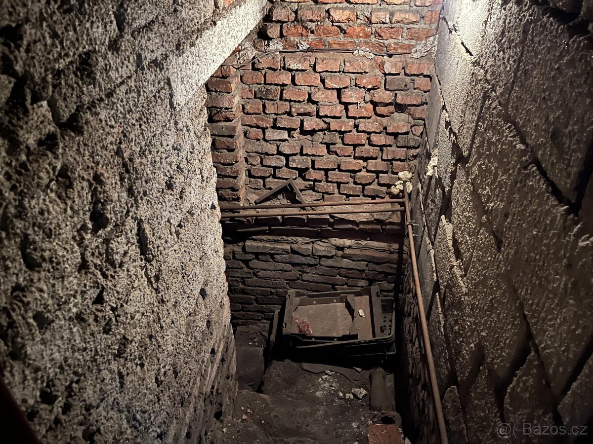 Prodej RD dvě bytové jednotky, prostorná dvou garáž s pozemk - 10