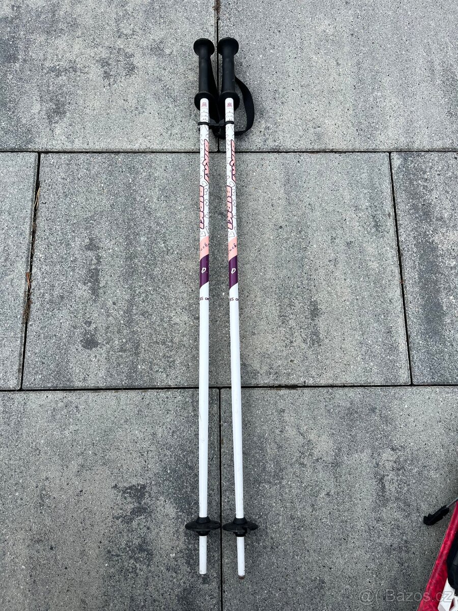 Dětské lyže Salomon + hůlky + lyžařské boty - 10