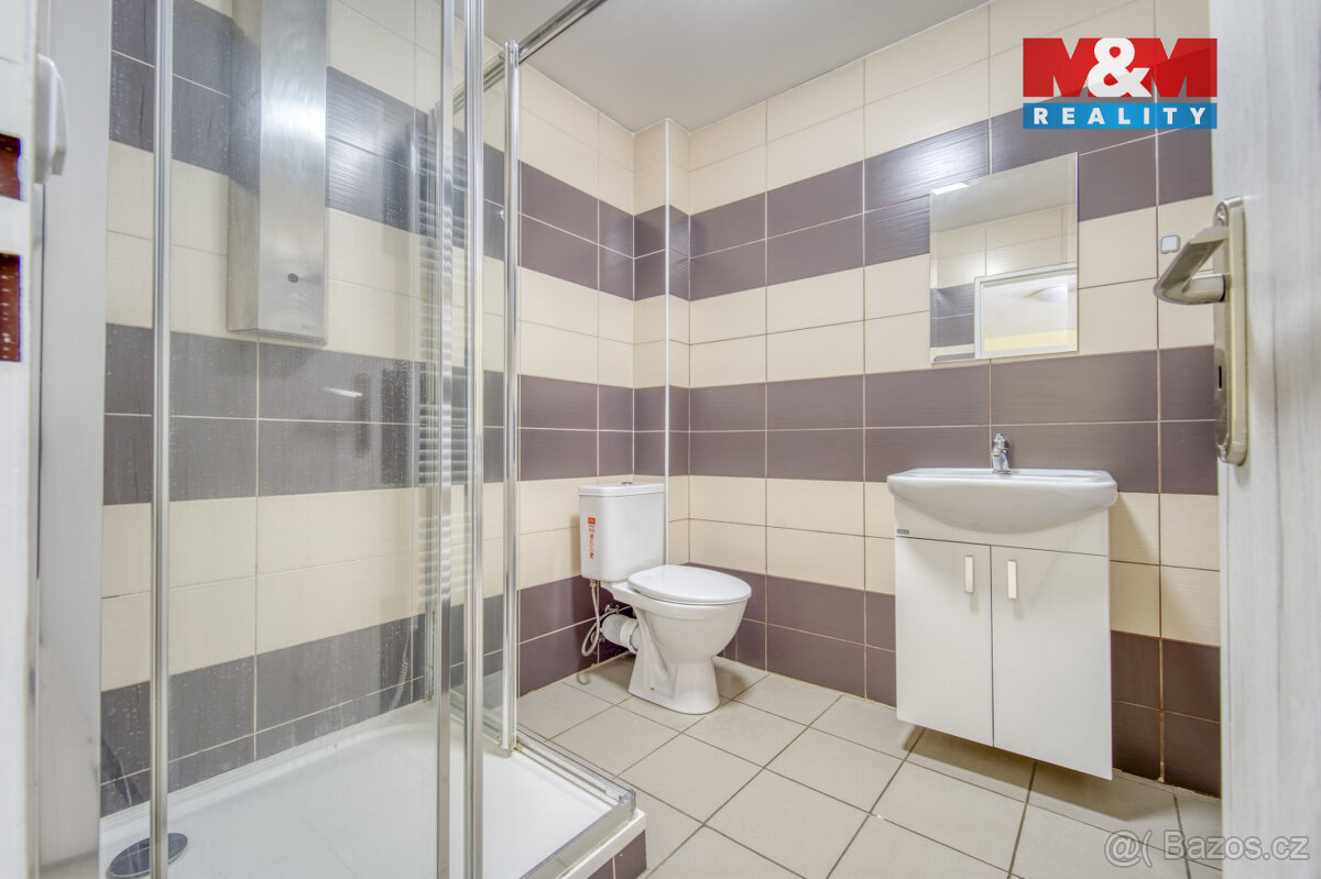 Pronájem bytu 1+1, 49 m², Sytno - 10