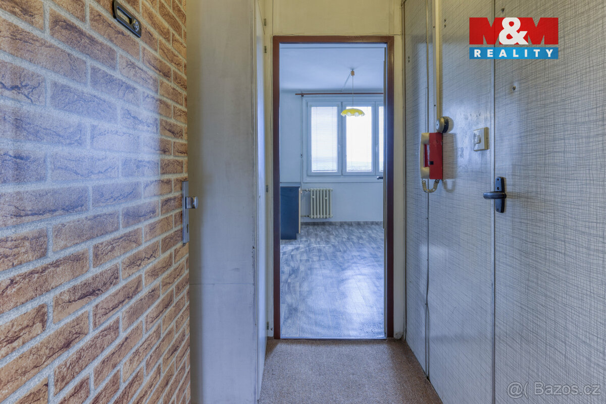 Pronájem bytu 1+1, 36 m², Plzeň, ul. Sokolovská - 10