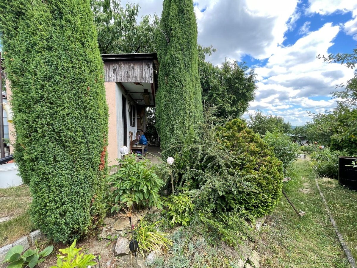 Zahrada ke stavbě chaty k rekreaci,700m2,Plzeň,Pod Švabinami - 10