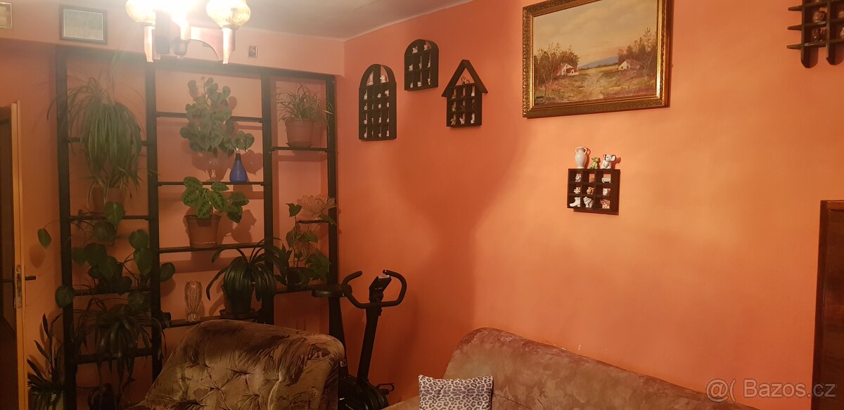 Investiční nemovitost - bytová jednotka - Plzeňský kraj - 10