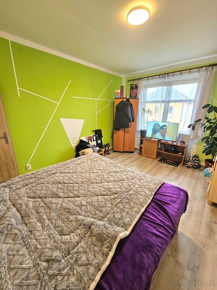 Pronájem bytu 2+1 v Aši PRONAJATO - 10