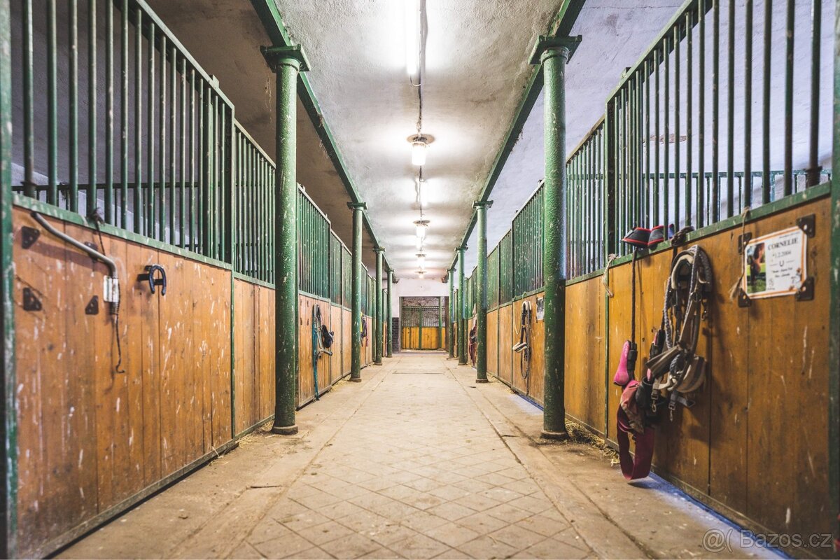 Boxové ustájení Kočvary - 10