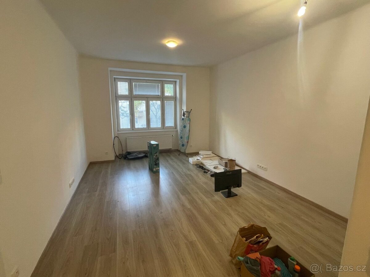 DLouhodobý pronájem bytu 2+kk (55 m2) - 10