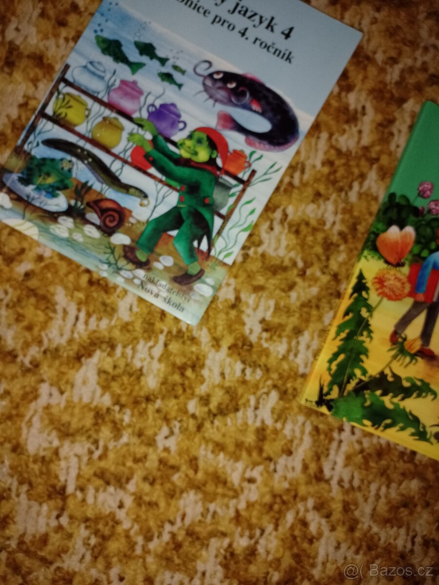 Ucebnice pro zakladni školy a stred.skoly - 10