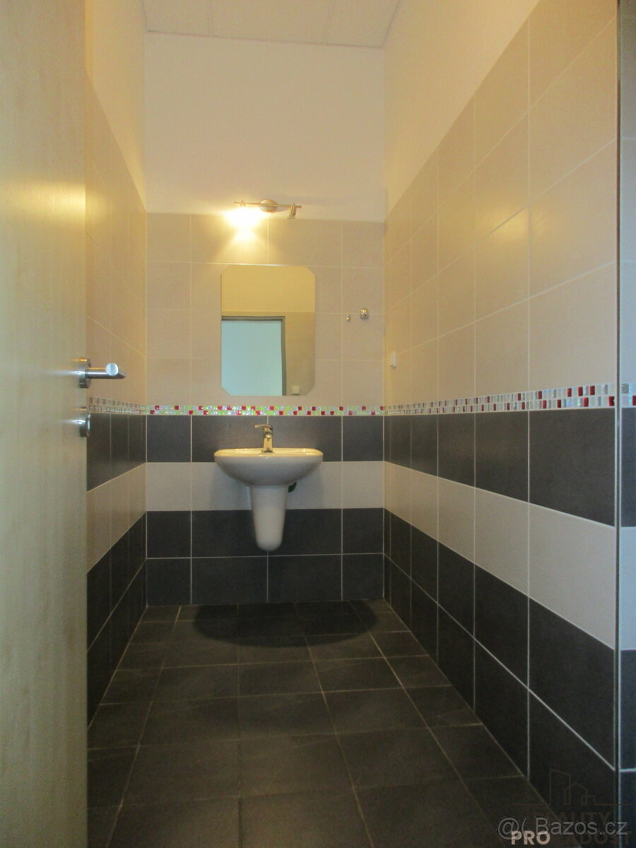 Pronájem nebytových prostor ve Veselí nad Moravou - 10