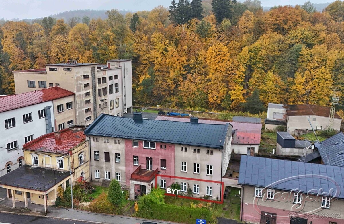 Prodej byt 3+1 Svoboda nad Úpou - 10