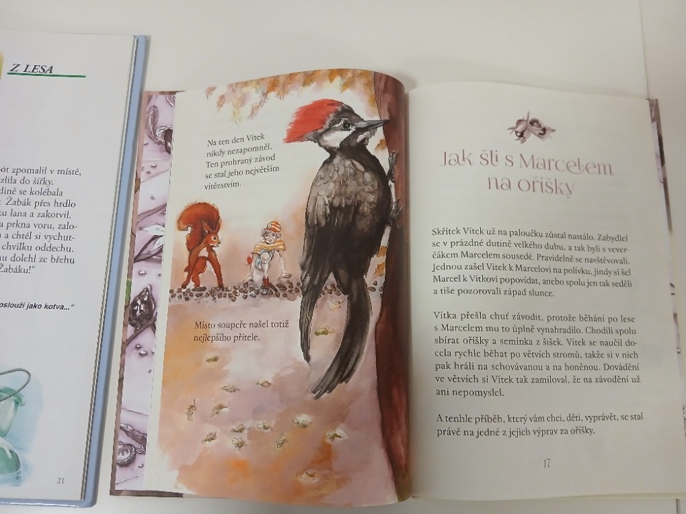 Knihy - Příběhy a pohádky - 10