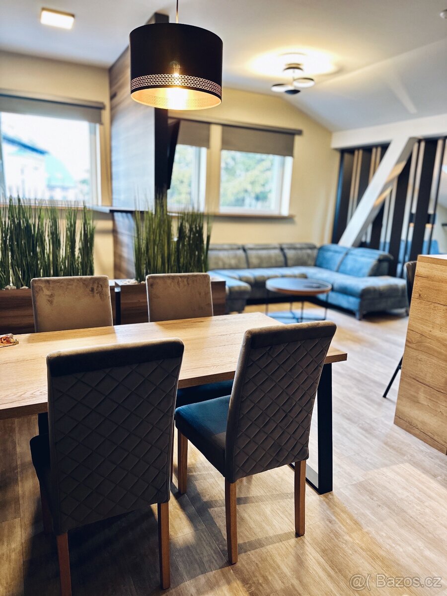 🏡 Ubytování Jeseníky – apartmán + pokoje | Penzion ANPELA - 10