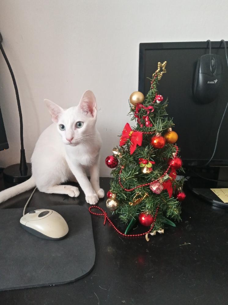 Předu, pletu, háčkuju - 10