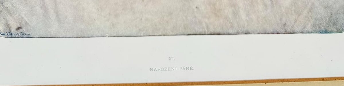 VYŠEHRADSKÝ KODEX - 10