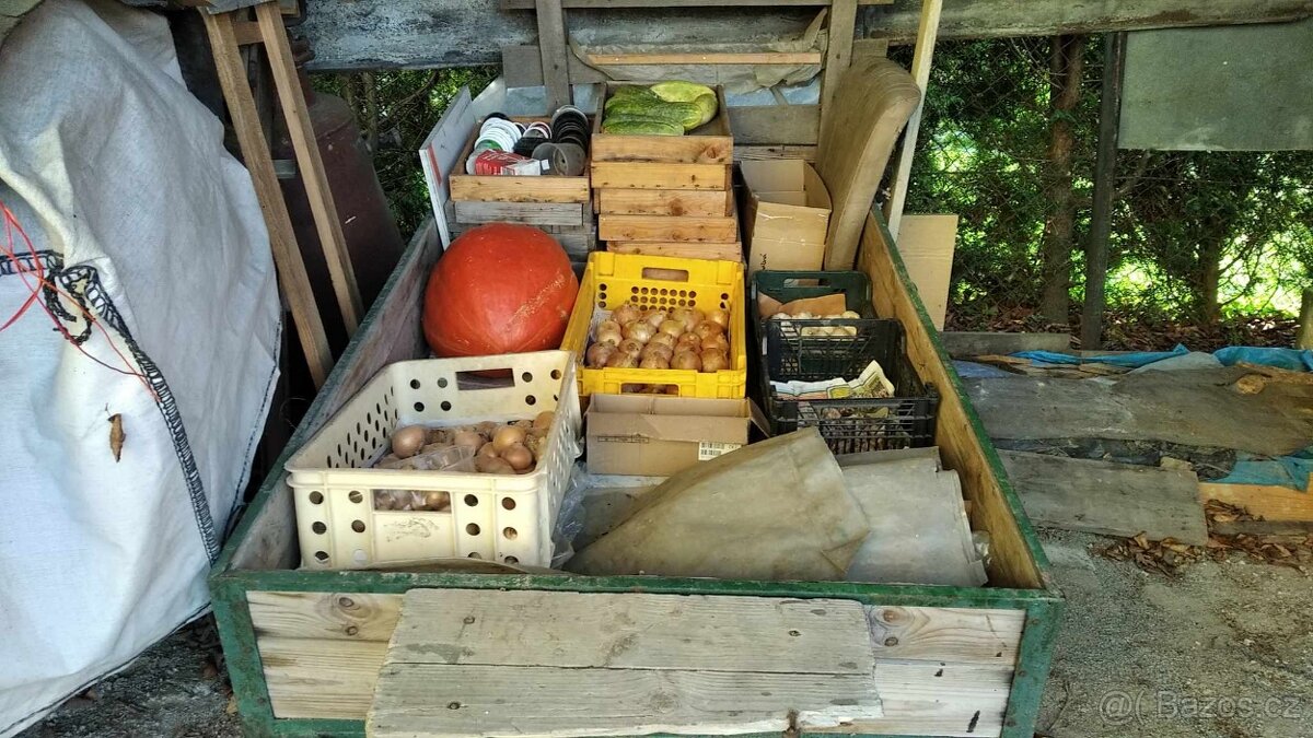 Prodej půdní frézy značky "Robi 151" - 10