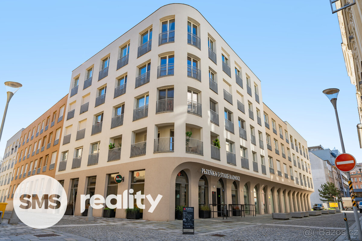 Pronájem moderního bytu 1+kk, 32 m² – Nové Lauby, centrum Os - 10